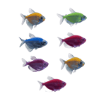 GloFish® Tetra Packs